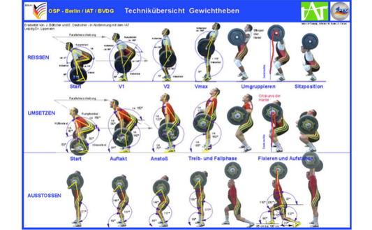 Gewichtheben – Die Übungen